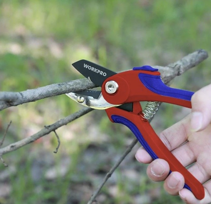 Секатор WORKPRO 180 мм для сухой поросли (WP332003) – фото №1 Секатор WORKPRO 180 мм для сухой поросли (WP332003) – №1