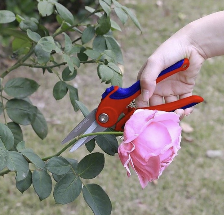 Секатор WORKPRO 180 мм для цветов (WP332002) – №1