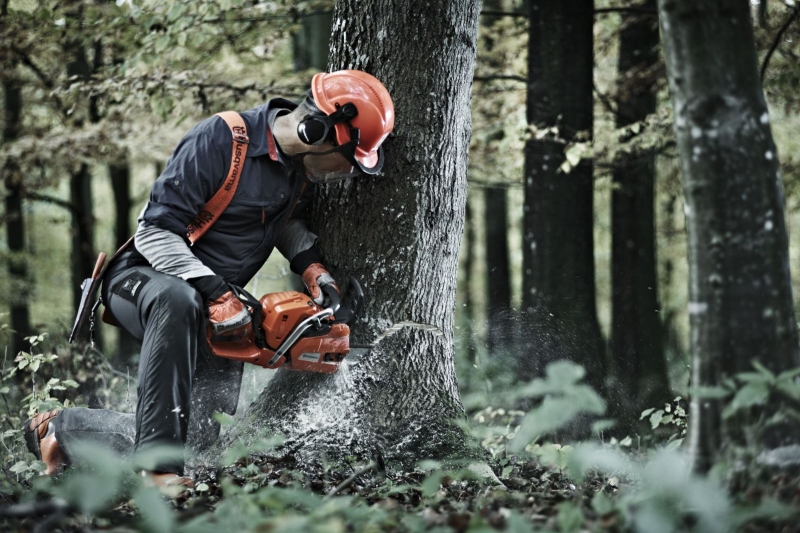 Пила цепная бензиновая Husqvarna 555 15" – фото №3 Пила цепная бензиновая Husqvarna 555 15" – №3