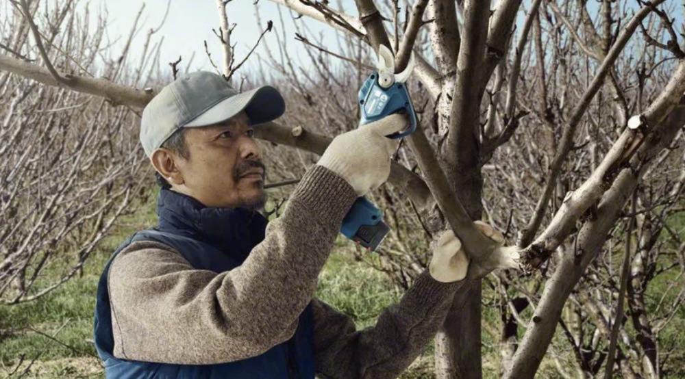 Аккумуляторный секатор Bosch Pro Pruner GAL12V (2х3,0 Ач) – фото №2 Аккумуляторный секатор Bosch Pro Pruner GAL12V (2х3,0 Ач) – №2