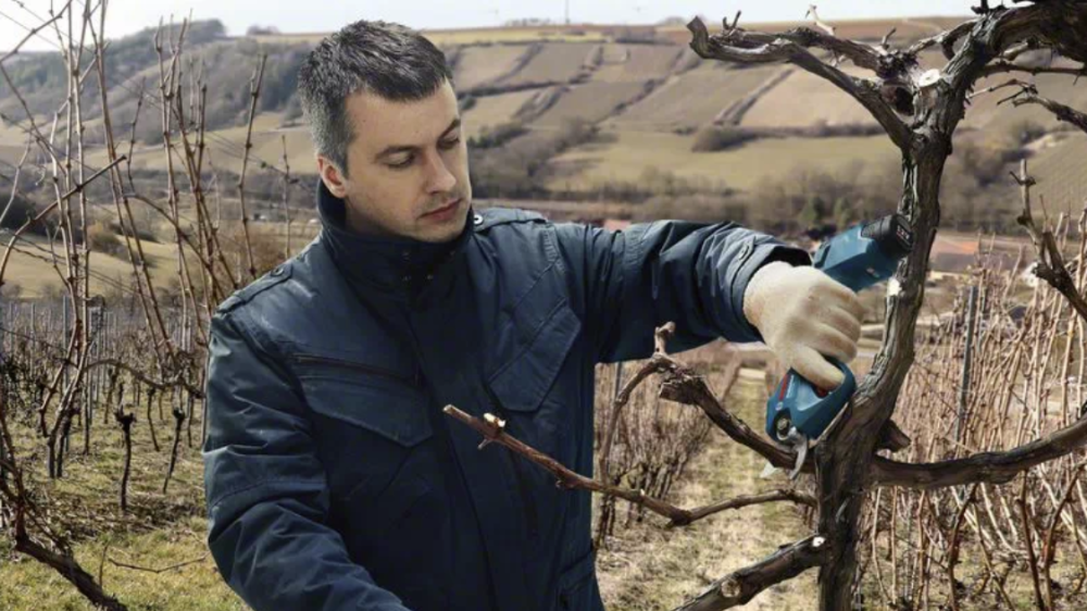 Аккумуляторный секатор Bosch Pro Pruner GAL12V (2х3,0 Ач) – фото №1 Аккумуляторный секатор Bosch Pro Pruner GAL12V (2х3,0 Ач) – №1
