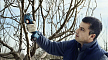 Аккумуляторный секатор Bosch Pro Pruner GAL12V (2х3,0 Ач) – фото №4 Аккумуляторный секатор Bosch Pro Pruner GAL12V (2х3,0 Ач) – №4